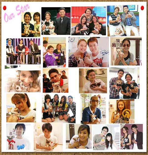 T CUP SWEET HOME ฟาร์มอันดับ 1 ในไทย