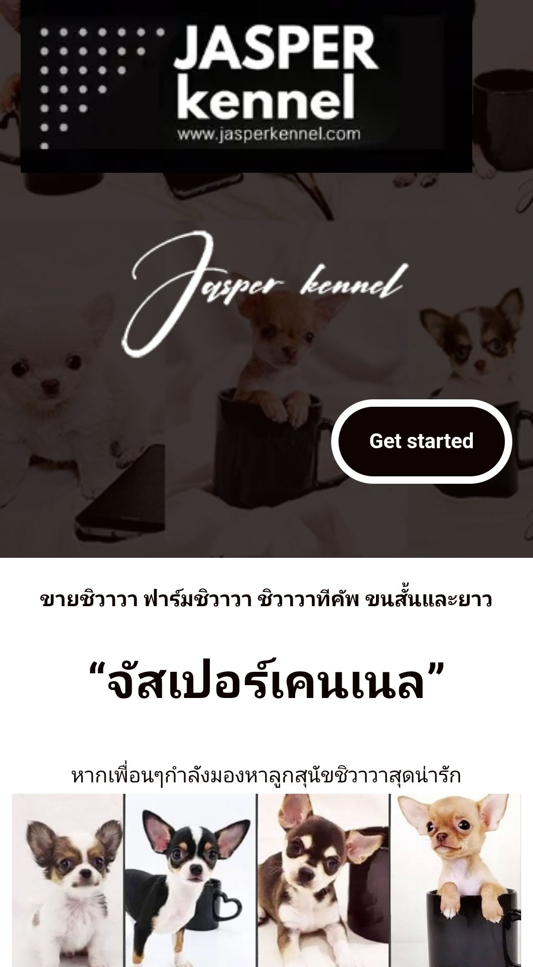 Jasper Kennel จัสเปอร์เคนเนล