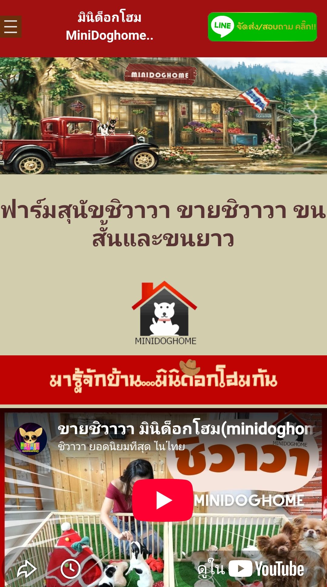 Mini dog home มินิด็อกโฮม