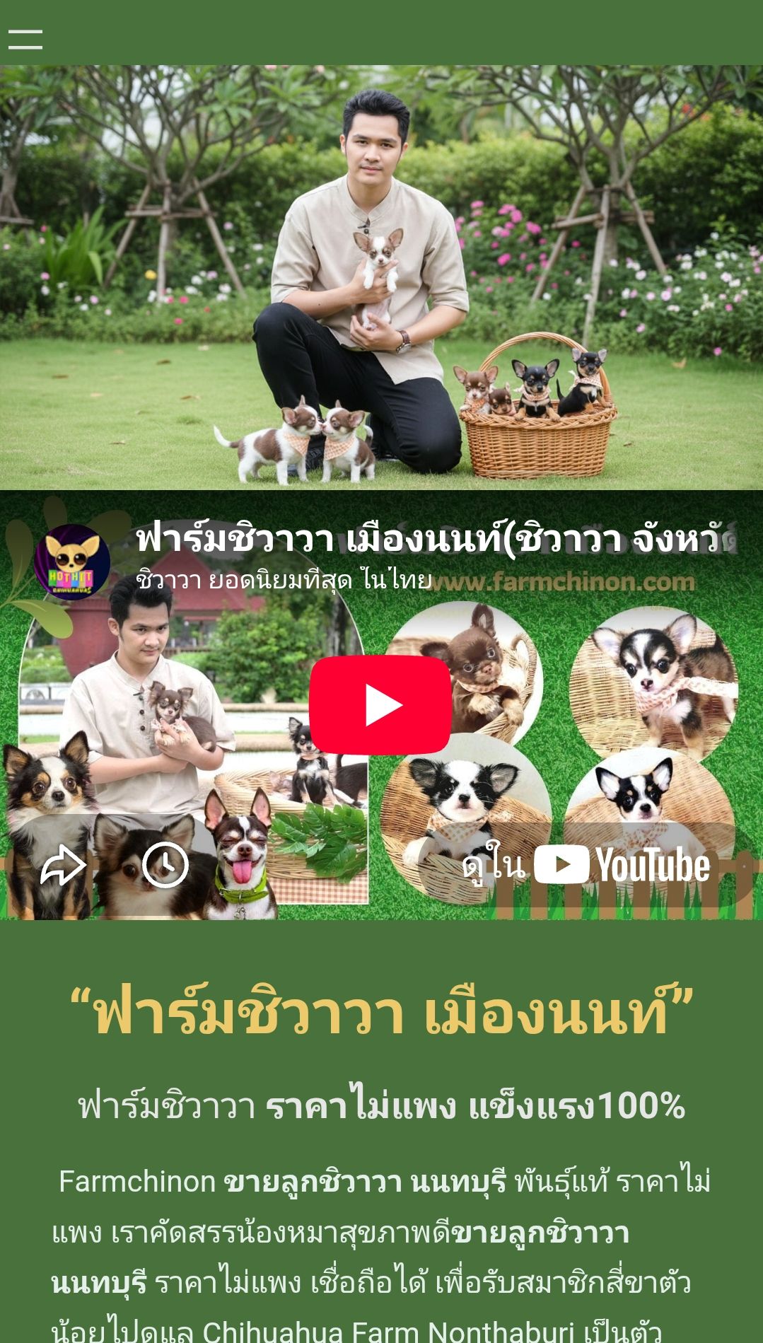 ฟาร์มสุนัขตัวจิ๋วเมืองนนท์ 